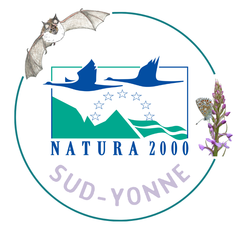 Logo rond Sud Yonne