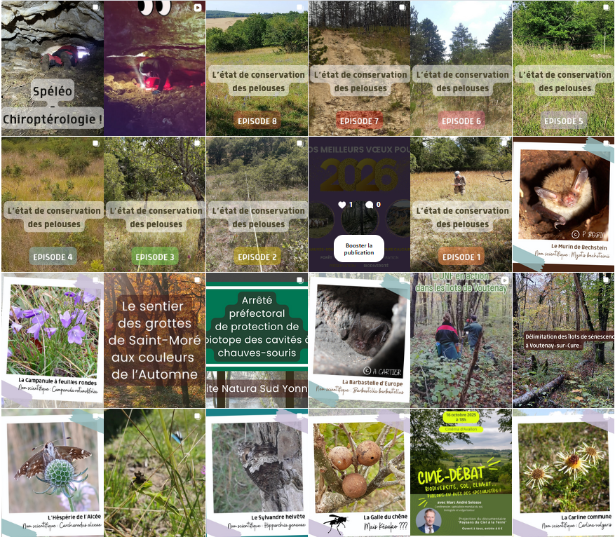 Instagram publications