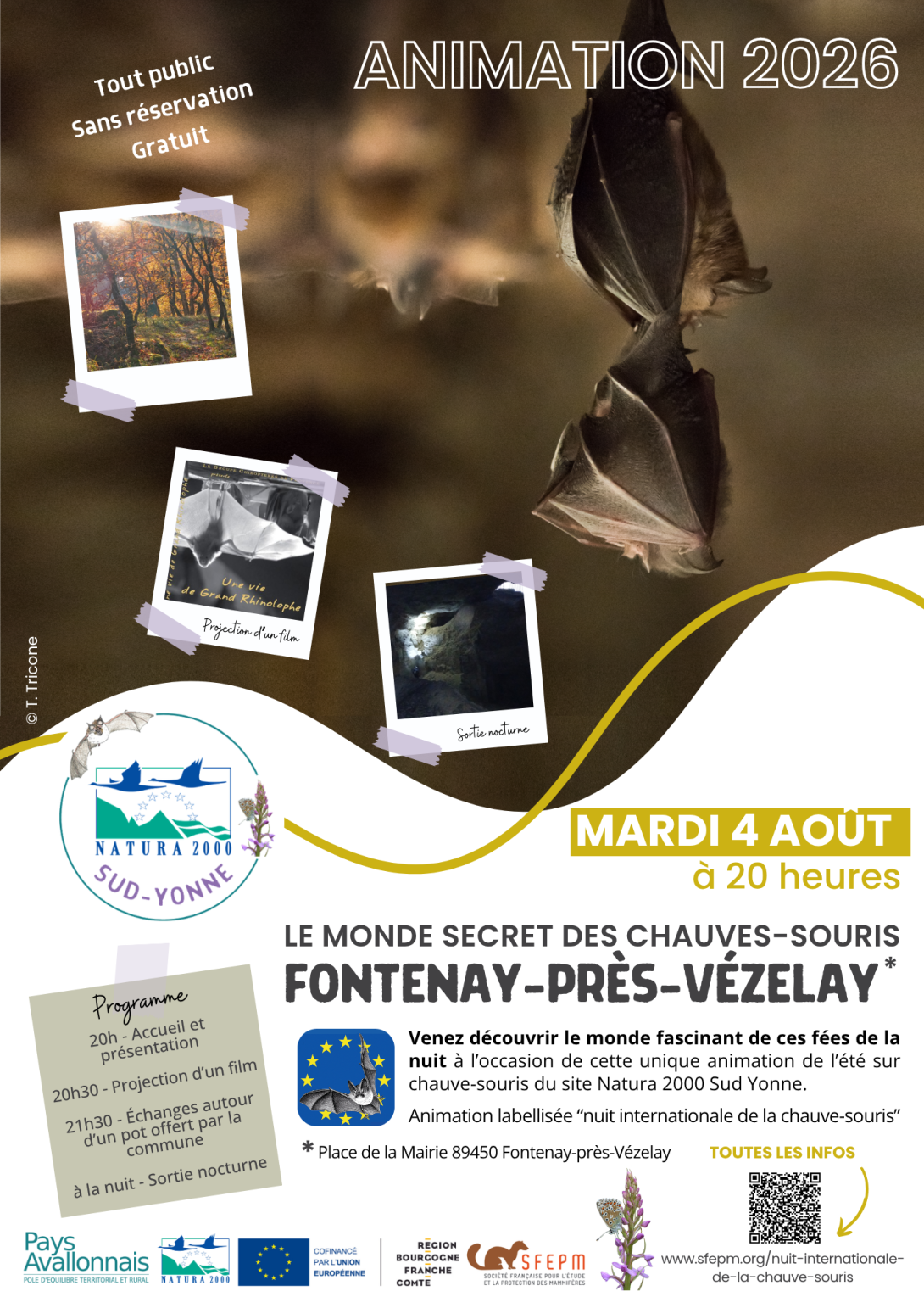 NICS_2026_ affiche