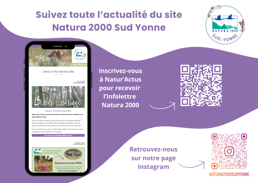Actus sud yonne